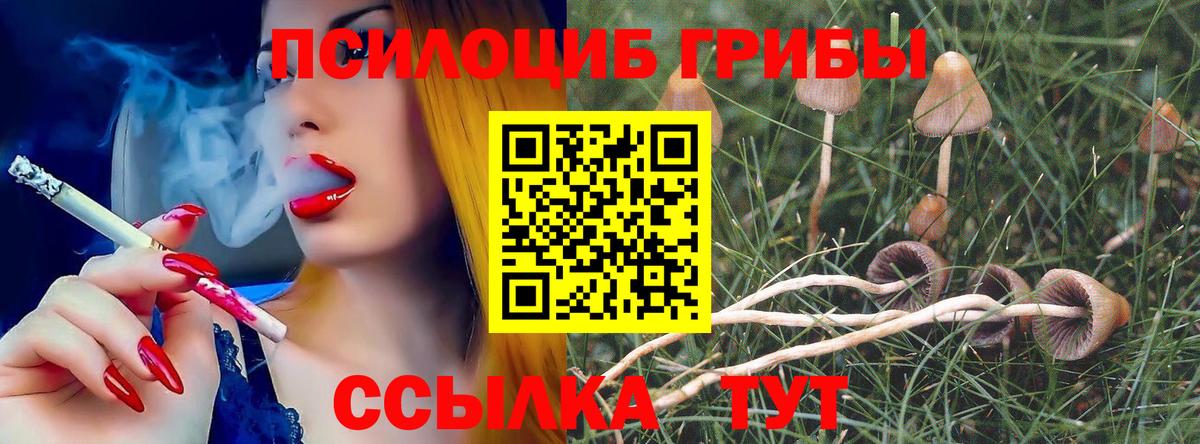Галлюциногенные грибы MAGIC MUSHROOMS Усть-Джегута