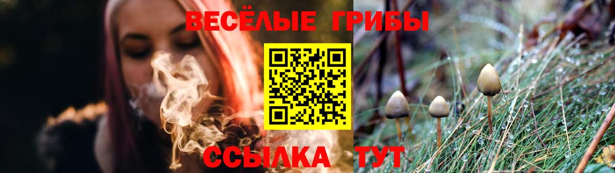 Псилоцибиновые грибы ЛСД  Вход с VPN  Усть-Джегута 